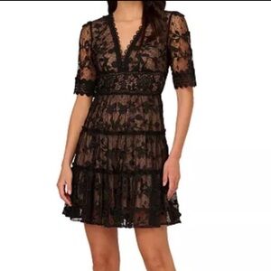 Adrianna Papell V-Neck Lace Embroidered Dress